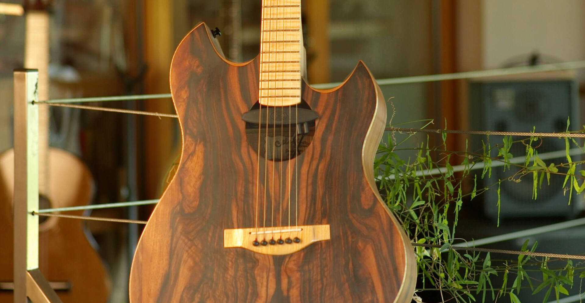 Célestine Electro-Acoustique