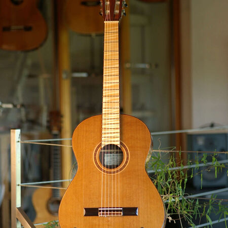 flamenca-01.JPG