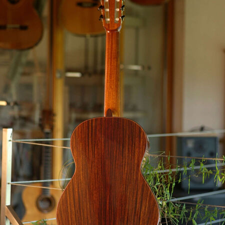 flamenca-02.JPG