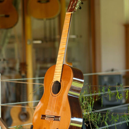 flamenca-03.JPG