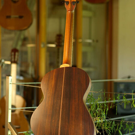 papillon-02.JPG