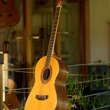 papillon-03.JPG