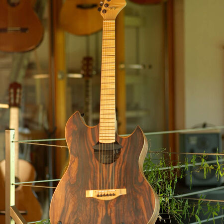 celestine-electro-acoustique-01.JPG