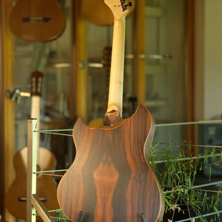 celestine-electro-acoustique-02.JPG