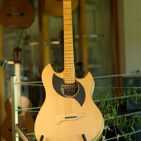02-celestine-electro-acoustique-01.JPG