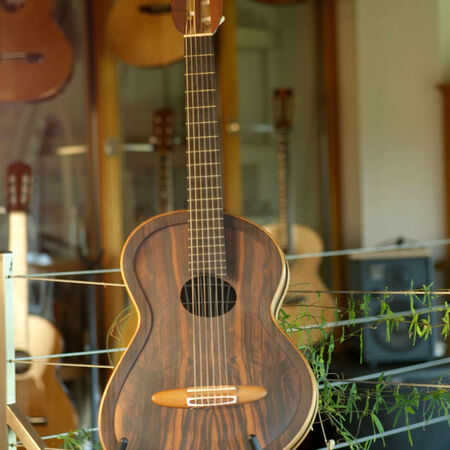 03-celestine-electro-acoustique-02.JPG