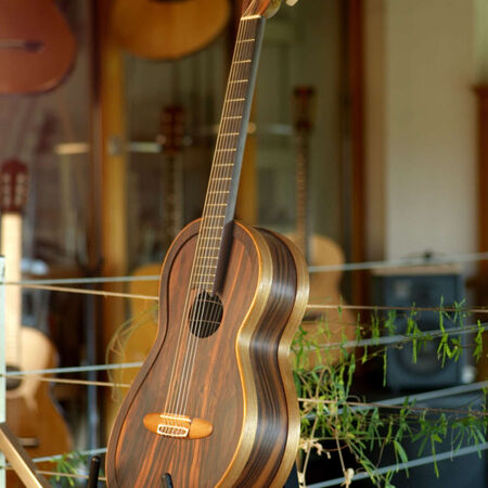 03-celestine-electro-acoustique-03.JPG