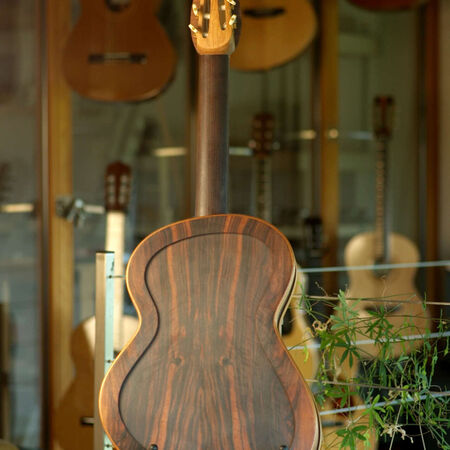03-celestine-electro-acoustique-04.JPG