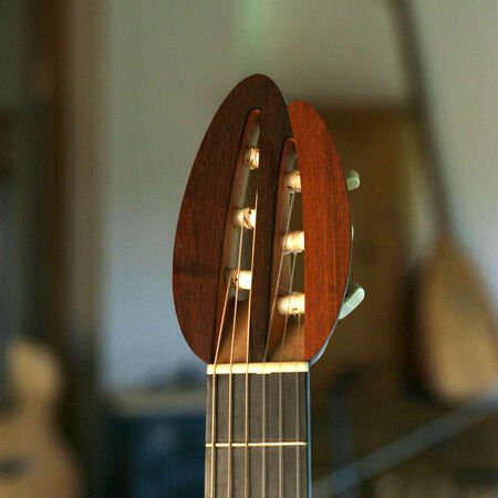 03-celestine-electro-acoustique-06.JPG